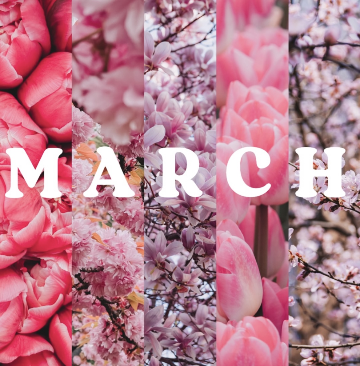 March — 봄의 시작